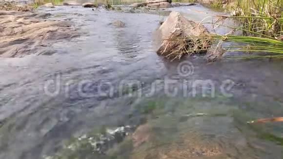 河水在黎明时流过石头和岩石山河流过绿林视频的预览图