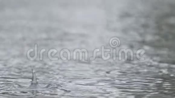 雨滴缓慢地落入水坑中溅起水花视频的预览图
