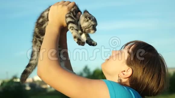 小猫和女孩的天空背景条纹罗普耳苏格兰小猫在他心爱的主人手中小宠物视频的预览图