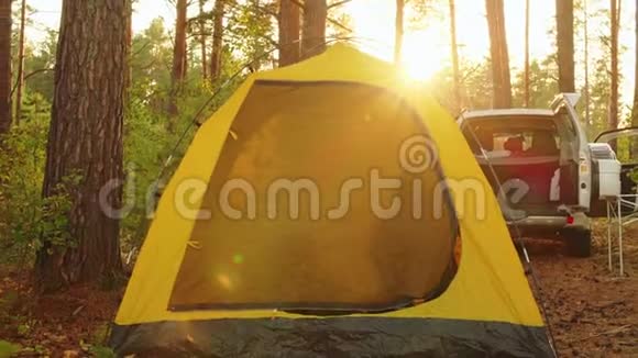游客夫妇在阳光明媚的早晨在露营帐篷里醒来快乐的一对情侣在旅游帐篷上打哈欠和伸手视频的预览图