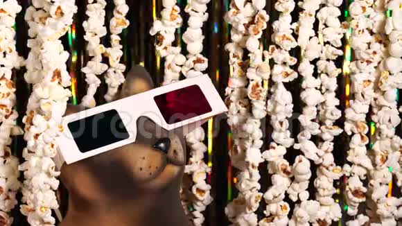 3D眼镜中的猫雕像从爆米花的花环上偷看出来一堆爆米花邀请观看电影视频的预览图