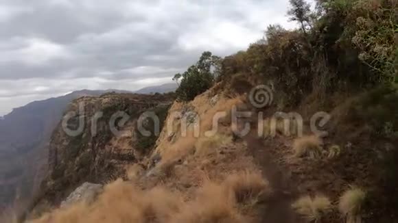 漫步在非洲埃塞俄比亚荒野的西米恩山视频的预览图