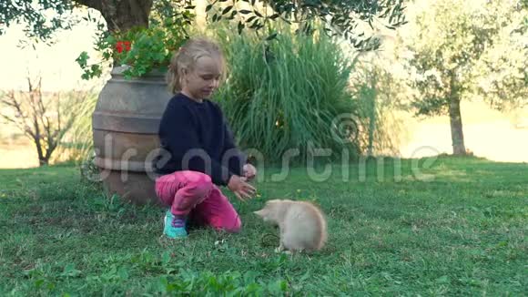 小女孩在户外玩姜猫视频的预览图