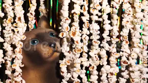 猫雕像从爆米花的花环上偷看出来电影新闻的爆米花邀请观看电影视频的预览图