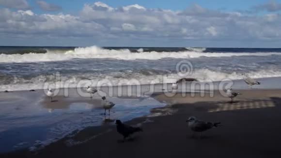 暴风海和桑迪海滩视频的预览图