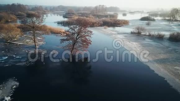 空中无人机飞越河流冬季无人机飞过河边的雪树视频的预览图