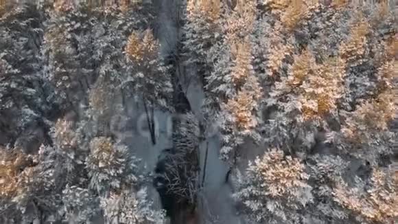 无人机跟踪射击飞过一条冰冻的河流冬天的风景树木溪流河流直往下看视频的预览图