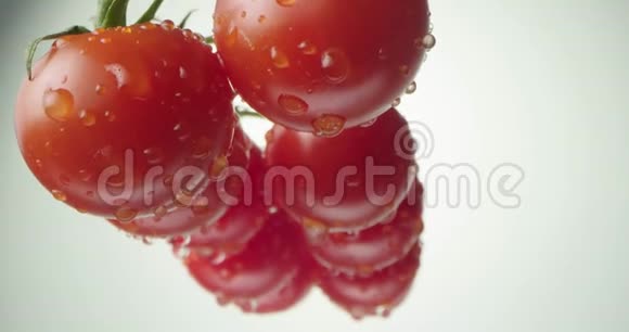 一串成熟的红西红柿和一滴水视频的预览图
