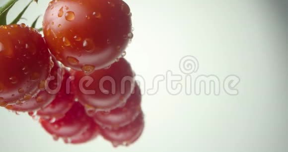 一串成熟的红西红柿和一滴水视频的预览图
