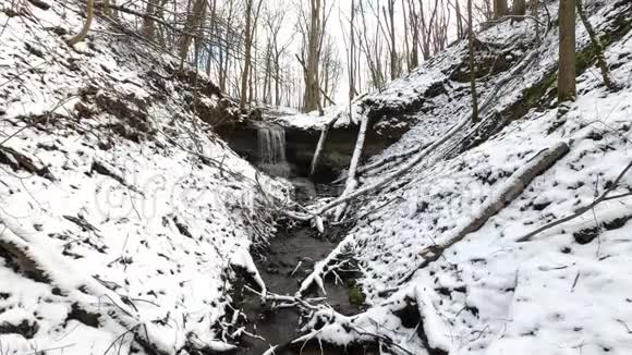 冬天的瀑布白雪和树木视频的预览图