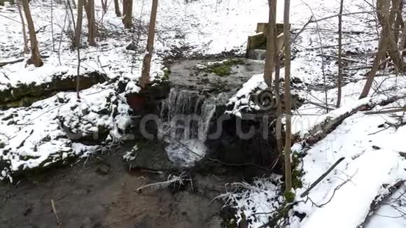 冬天的瀑布白雪和树木视频的预览图