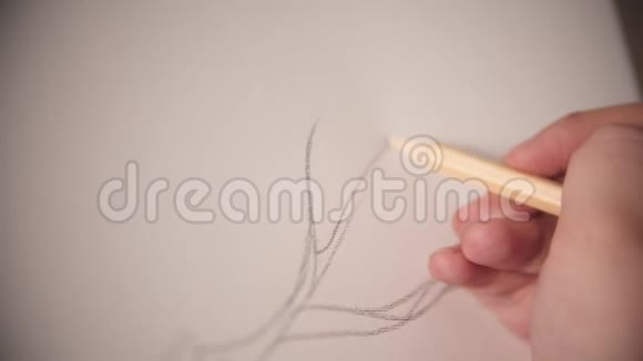 一位年轻女子用铅笔在画布上勾画一棵抽象的树视频的预览图