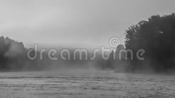 河流和森林附近雾蒙蒙的早晨视频的预览图