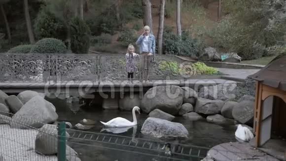 一个女人带着一个小女儿在公园里散步看着一只白天鹅在湖里游泳视频的预览图