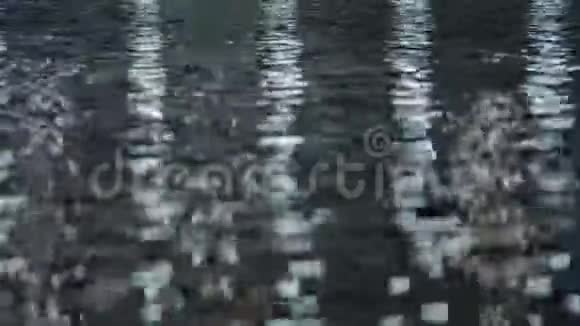一张闪闪发光的水面特写视频的预览图