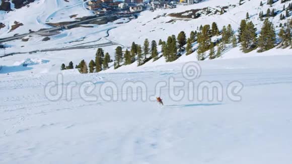 可爱可爱的棕色小狗在雪地里奔跑视频的预览图