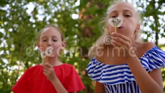 两个少年少女吹向夏日公园里的白色蒲公英女孩们在绿色公园里吹着塔拉克姆前照相机女孩视频的预览图
