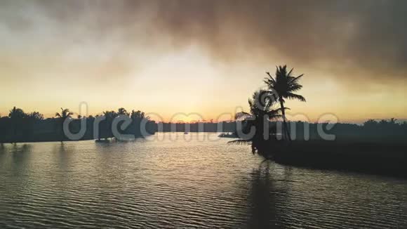 热带岛屿的高尔夫球场美丽的日落与棕榈树的剪影视频视频的预览图