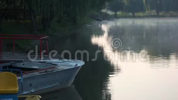 早晨雾蒙蒙的湖面视频的预览图