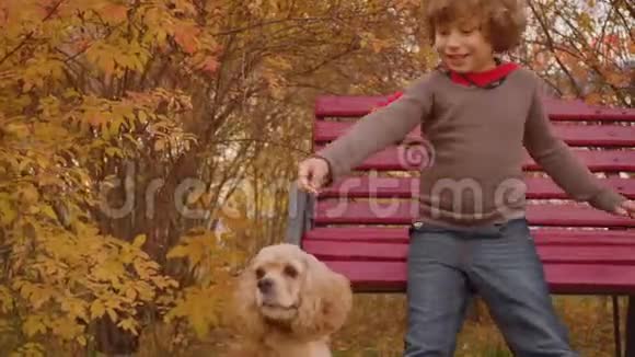 可爱的微笑男孩在公园喂狗视频的预览图