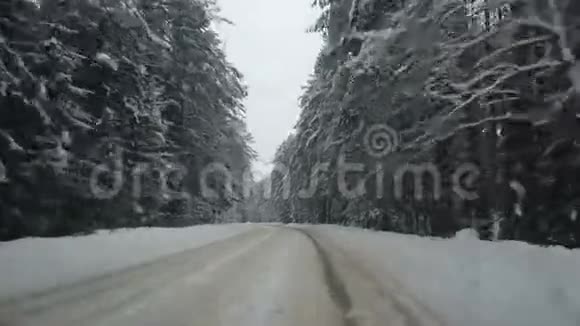 白雪覆盖了冬天的森林透过汽车的挡风玻璃看到了公路视频的预览图