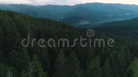 从山林的高处看风景视频的预览图