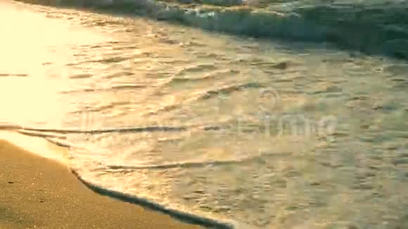 阳光普照的小路在海滨潮湿的沙滩上闪闪发光视频的预览图