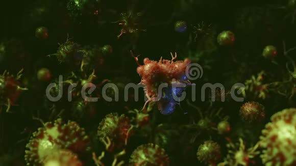 病毒细菌或其他疾病在显微镜下表现视频的预览图