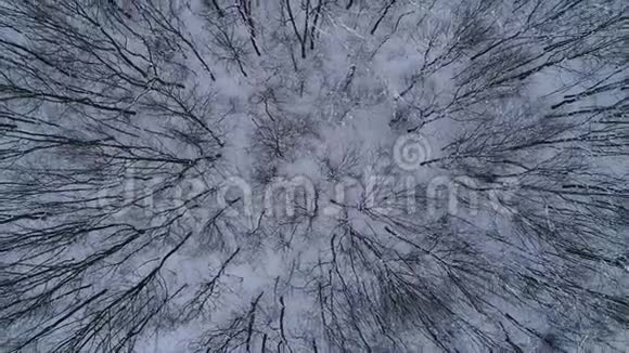 无人机在喀尔巴阡山脉的冬季森林上空升起视频的预览图