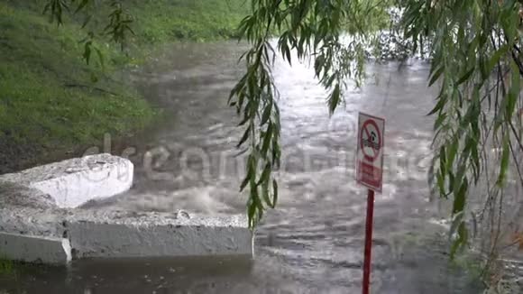 在大雨中一股脏水从下水道排入前面是游泳标志视频的预览图