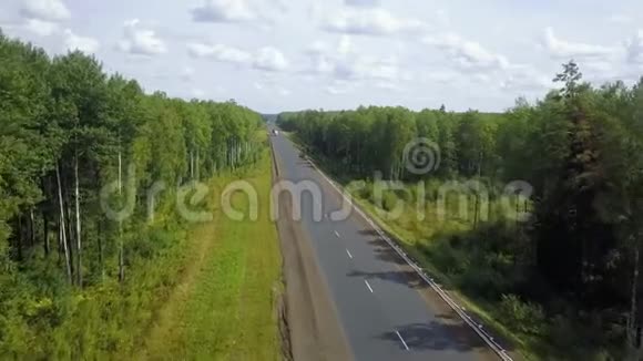 乡村公路空林路视频的预览图