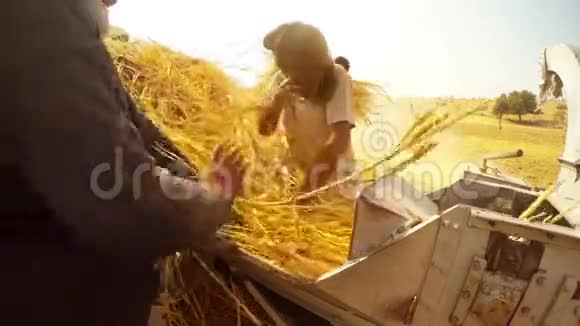 两个人把高粱茎放在稻草扦插机上磨碎它的许多灰尘农业工作沙漠tharkhurirajasthan视频的预览图