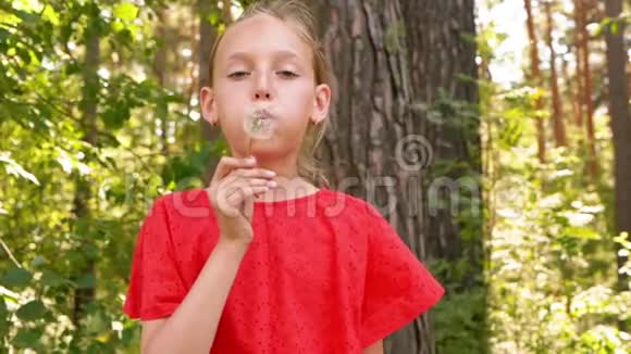 肖像少年女孩吹向白色蒲公英在绿色的植物和树木在夏季森林吹蜡烛的女孩视频的预览图