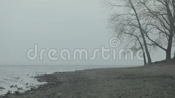 秋天在一个大湖的岸边视频的预览图