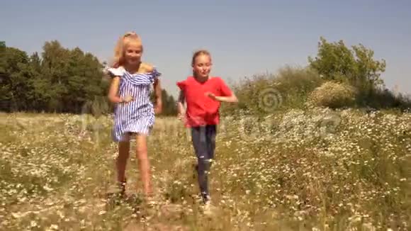 快乐的少年女孩在夏天的农村绿色的田野上奔跑活泼开朗的女孩在乡村开花的草地上奔跑视频的预览图