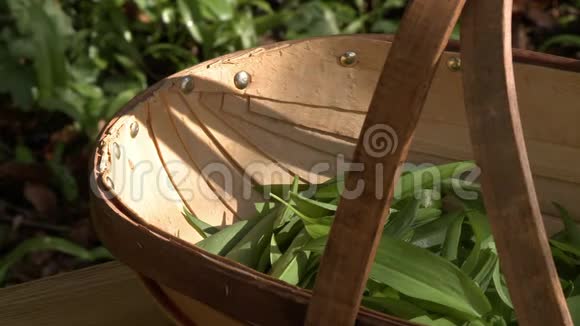 在木篮里放绿色蔬菜视频的预览图