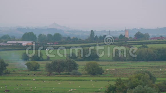 乡村景观绵羊放牧多塞特英国视频的预览图