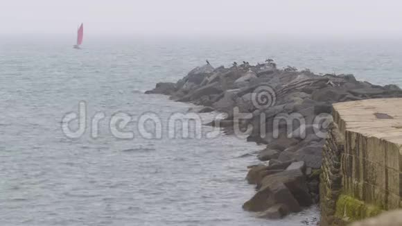 帆船驶近雾中的岩石码头视频的预览图