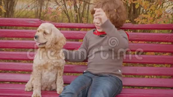 可爱的快乐孩子坐在长凳上和狗在公园里视频的预览图