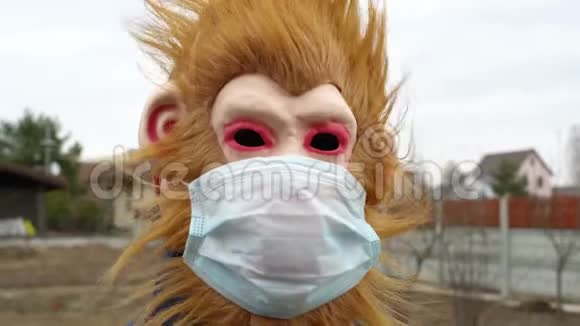 戴着医用口罩的猴子在户外看起来吓坏了震惊了沮丧了视频的预览图