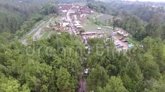 鸟瞰松林之旅印度尼西亚克拉吉兰马吉朗视频的预览图