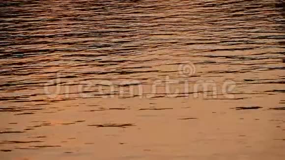 金色的夕阳映在水中视频的预览图