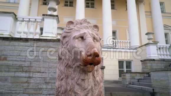 宫殿附近的狮子雕塑历史建筑婚礼宫殿视频的预览图