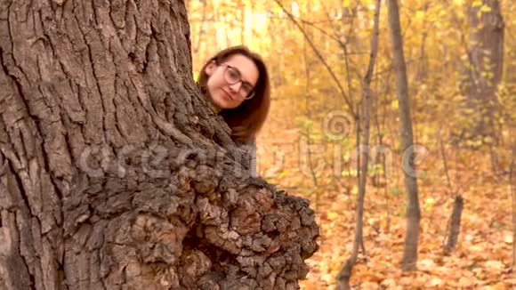 一个戴眼镜的年轻女人躲在秋天森林里的一棵大树叶子后面黄色的叶子视频的预览图