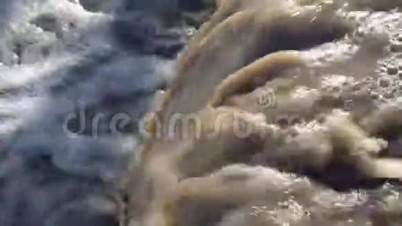 一股肮脏的棕色水流流入河中环境污染概念特写镜头4K视频的预览图