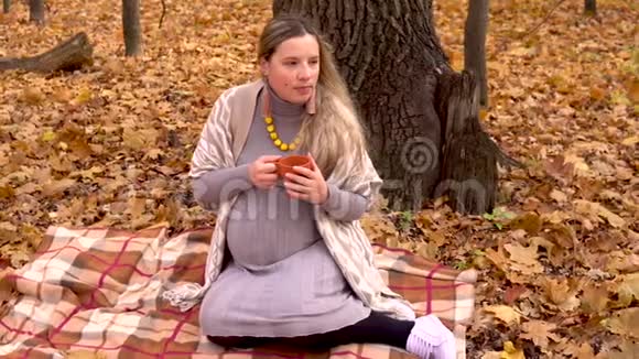 一位孕妇坐在一棵树下在秋天的森林里坐在格子布上喝着热茶黄色的叶子视频的预览图