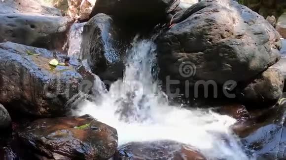 泰国独特的自然有瀑布的丛林视频的预览图