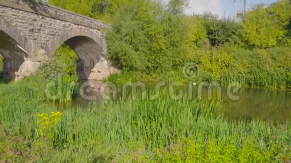 石拱桥过水视频的预览图