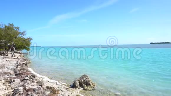 佛罗里达蓝天和绿红树的海滨景色视频的预览图