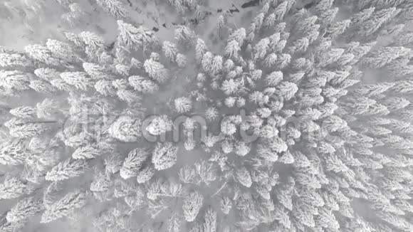 在山林中鸟瞰冬季景观视频的预览图